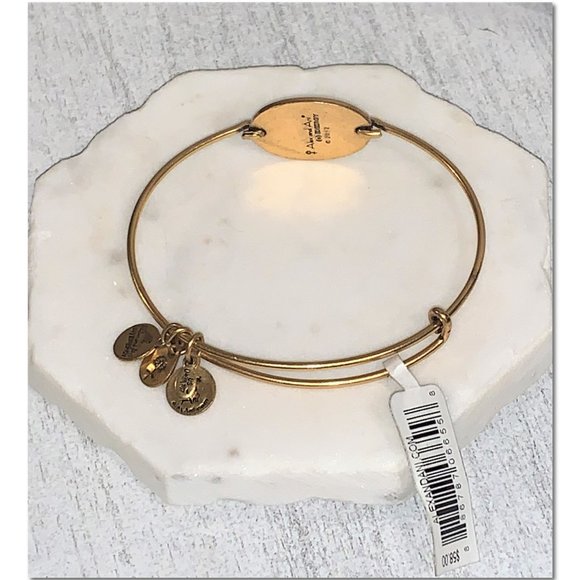 Alex and Ani Saint Florian Charm Horizontal Bangle Bracelet Gold Tag Attached - Picture 7 of 9